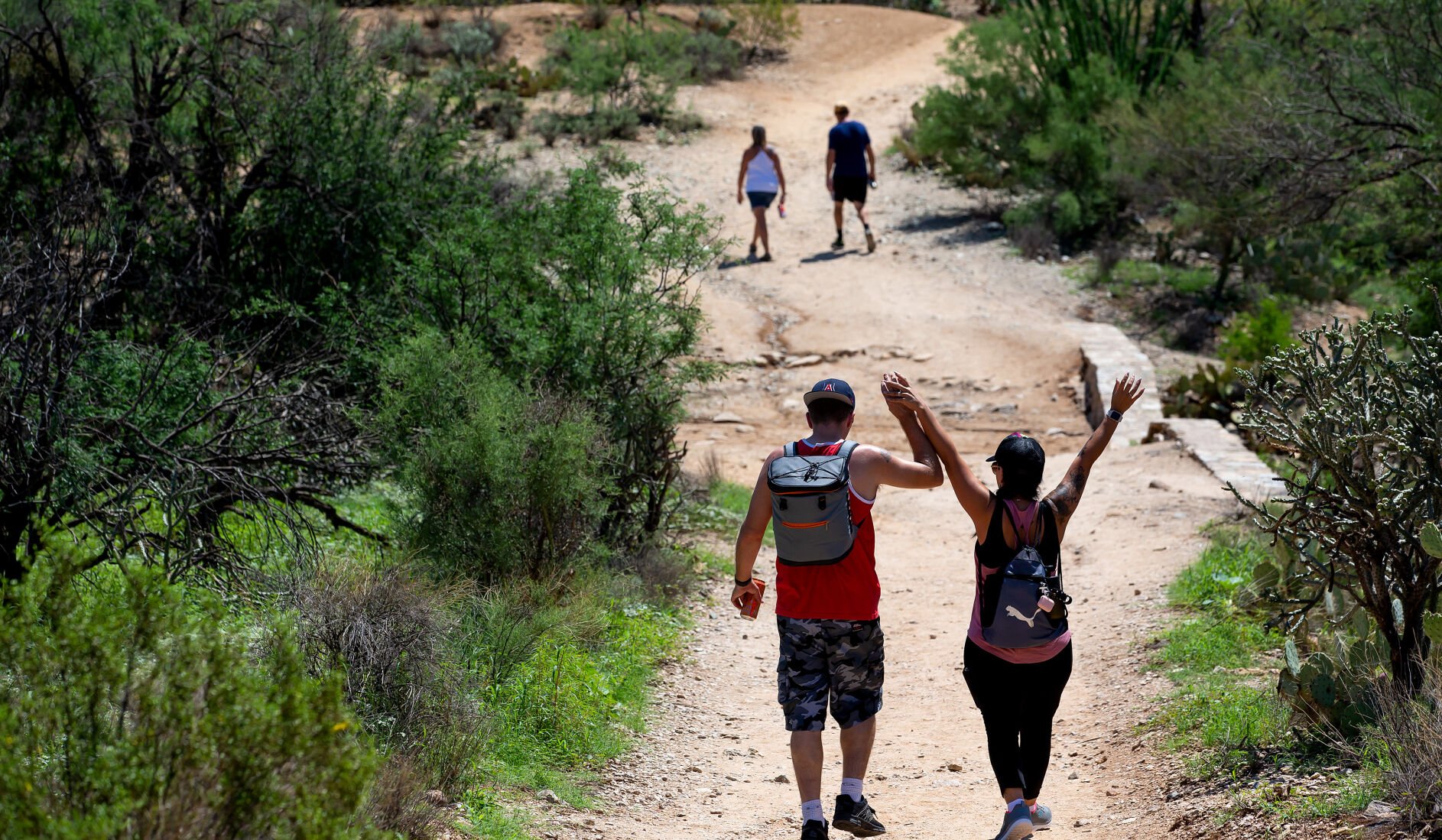 Sabino Creek